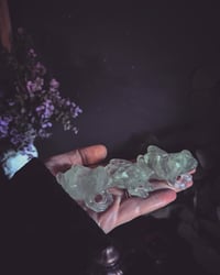 Image 2 of Fluorite frogs 