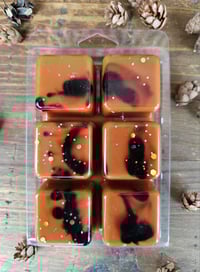 Image 6 of Roasted Pinecone Latte- A Rockytop Wax Works exclusive custom houseblend fragrance 