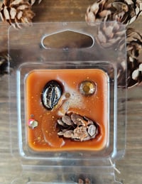Image 12 of Roasted Pinecone Latte- A Rockytop Wax Works exclusive custom houseblend fragrance 