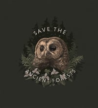 Image 2 of SAVE THE ANCIENT FORESTS Sticker