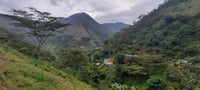 Image 3 of Nasa Wesx [DECA] - Colombie | FILTRE & ESPRESSO