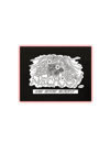 gore beyond necropsy patch