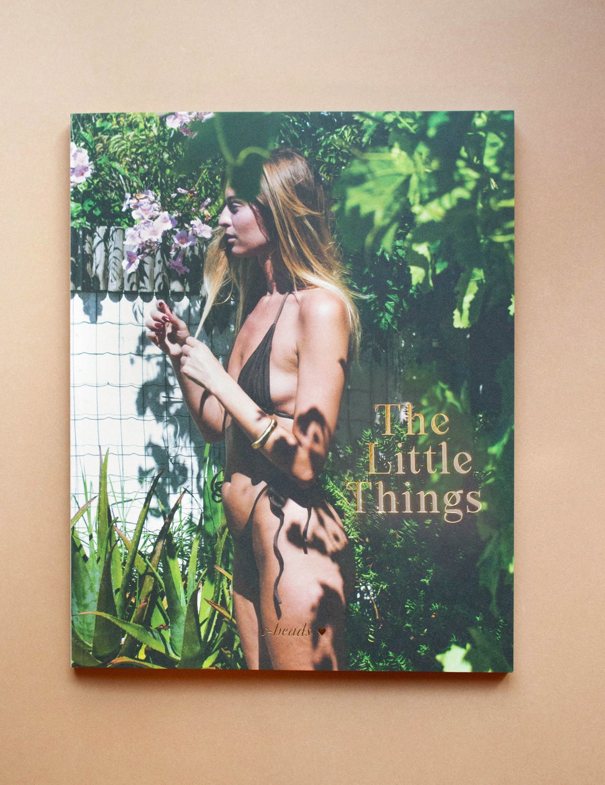 Image of C-Heads Magazine Volume #39