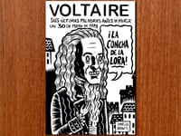 Voltaire 14x21cm