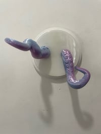 Image 1 of Double color shift pink/blue tentacles on a white circle base
