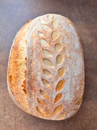 Plain Sourdough Loaf