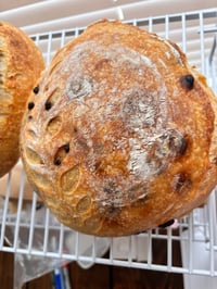  Chocolate Chip Loaf