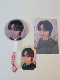 Image 1 of LOLLAPALOOZA IMAGE PICKET SET  