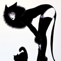 Image 1 of Black Cat  F