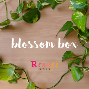 Image of Blossom Box #02 - Flavia Biondi