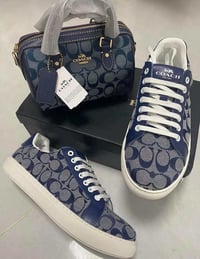 Navy Blue Coach
