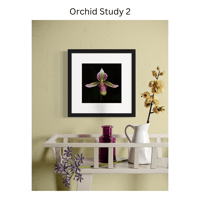 Image 7 of Orchid Studies