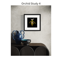 Image 9 of Orchid Studies