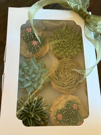 Image 5 of Standard Box