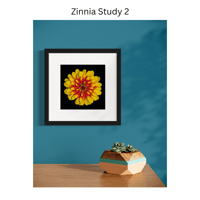 Image 5 of Zinnia Studies