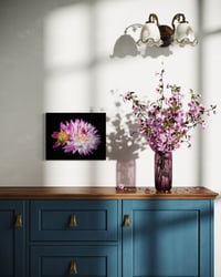 Image 2 of Blooming Dahlia