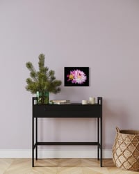 Image 4 of Blooming Dahlia