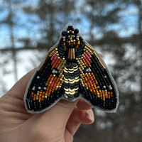 Image 3 of Moth Brooch - Chrysocale Regalis