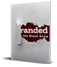 Stranded: Among the Black Snow
