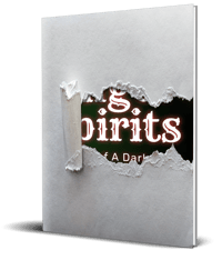 Angel Spirits: Secrets of a Dark Fairy #1
