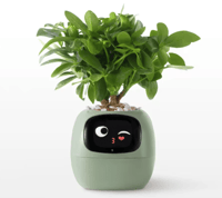 Ivy, Your Smart Planter