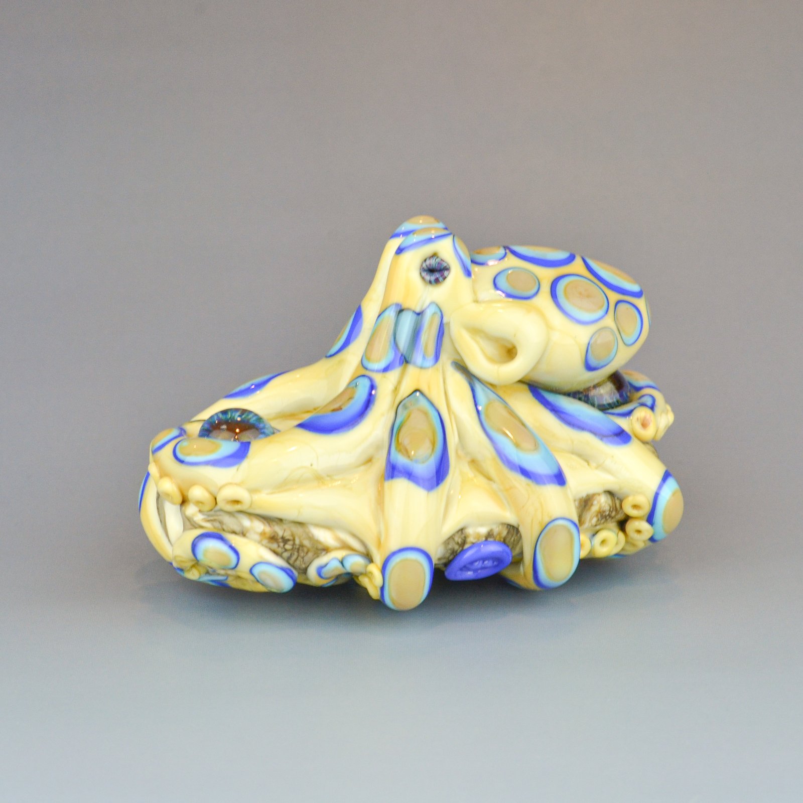 XXXL. Poisonous Blue Ringed Octopus - Flamework Glass Octopus