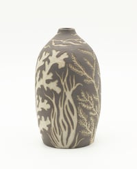 Image 3 of Carved Vase: Seaweeds