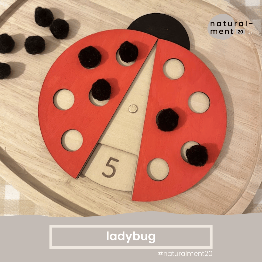 LADYBUG