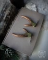 Antler Hair Pins (a pair of two pins)