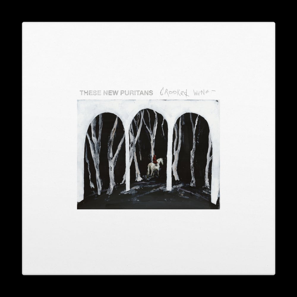 Image of CROOKED WING LP [DELUXE EDITION]