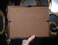 Image 5 of Black Walnut 8x10 Shadowbox Frame - Handmade