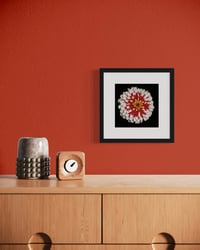 Image 9 of Zinnia Studies