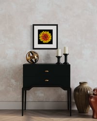 Image 11 of Zinnia Studies
