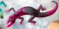 Image 3 of Lizzard 