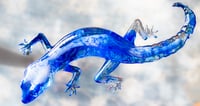 Image 7 of Lizzard 
