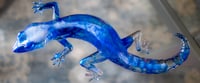 Image 10 of Lizzard 