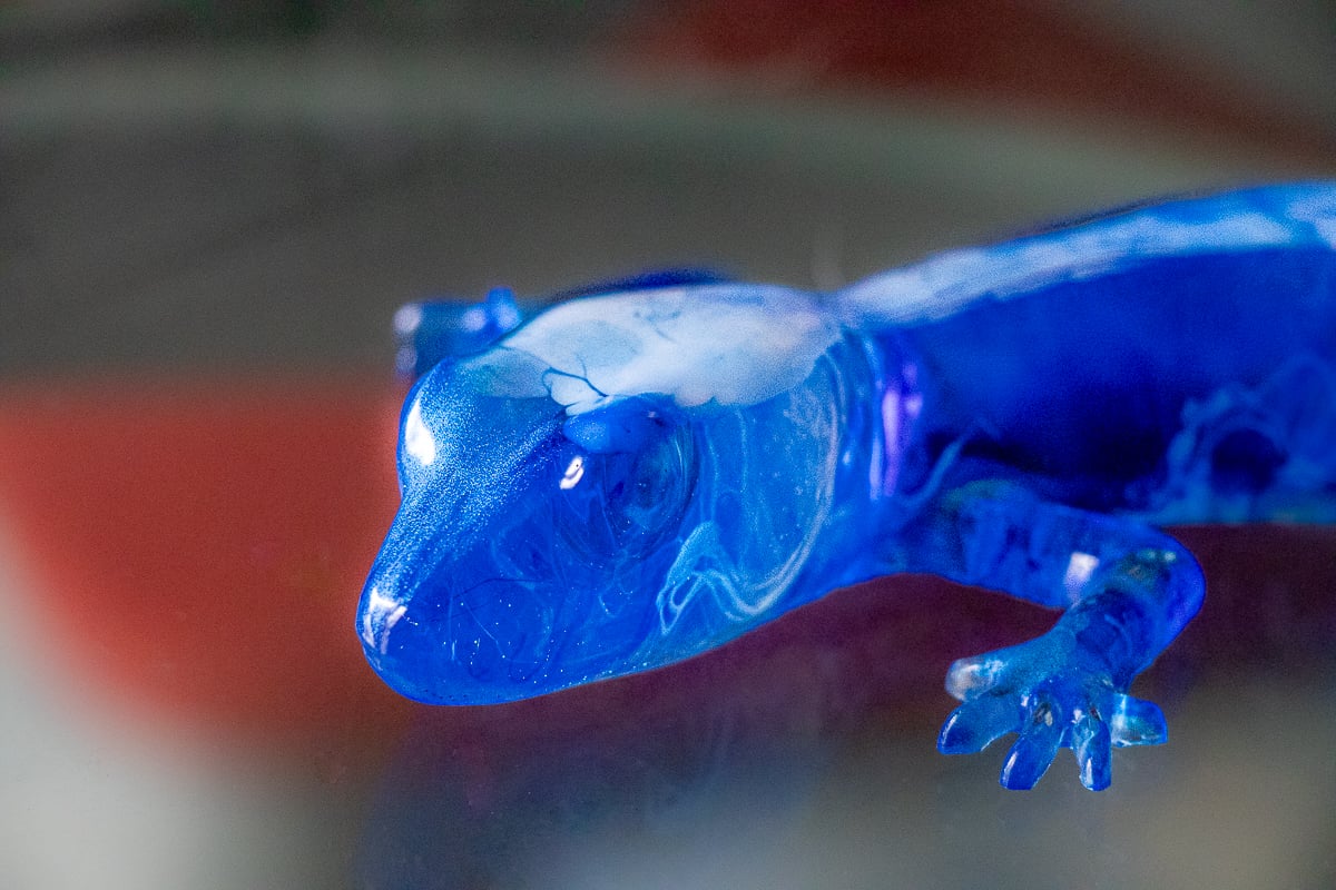 Lizzard | Dog Lovin Designs