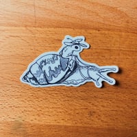 snail rider