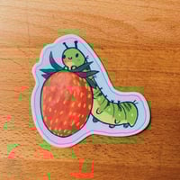 strawberry caterpillar