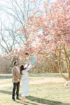 3/23 Saucer Magnolia Trees