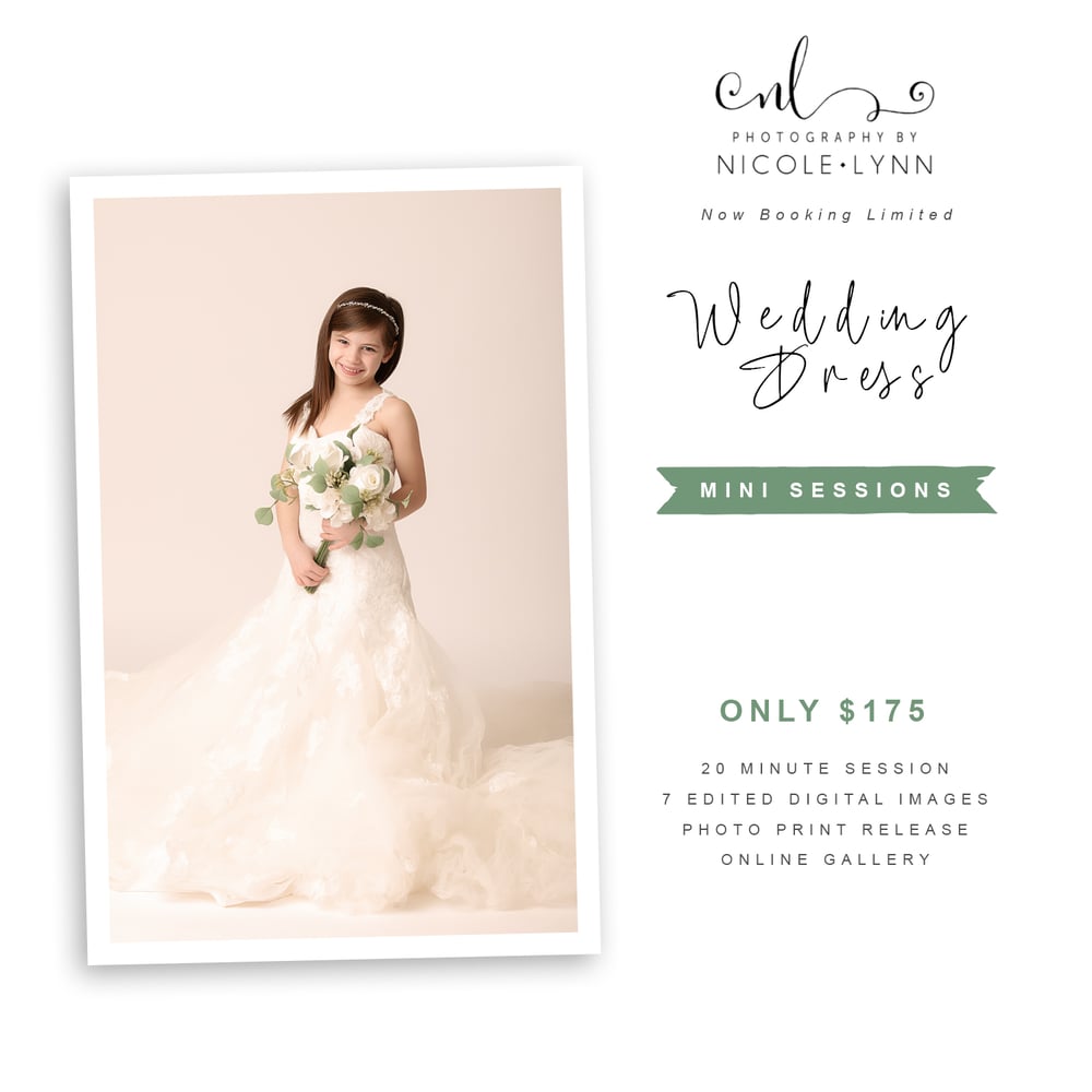 Image of Wedding Dress Minis- $175