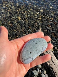 Image 4 of Tofu the Seal & Mochi the Pup Rock 💙