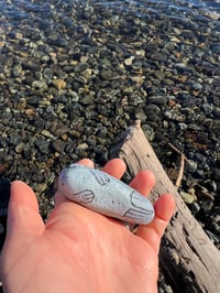 Image 5 of Tofu the Seal & Mochi the Pup Rock 💙