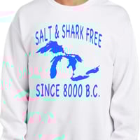 Image 3 of Salt Free Shark Free Michigan Shirt