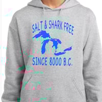 Image 4 of Salt Free Shark Free Michigan Shirt