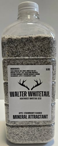 Image 1 of WALTER WHITETAIL