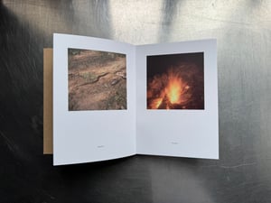 Image of THE LAND