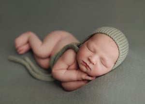 Image of Cozy / artichoke