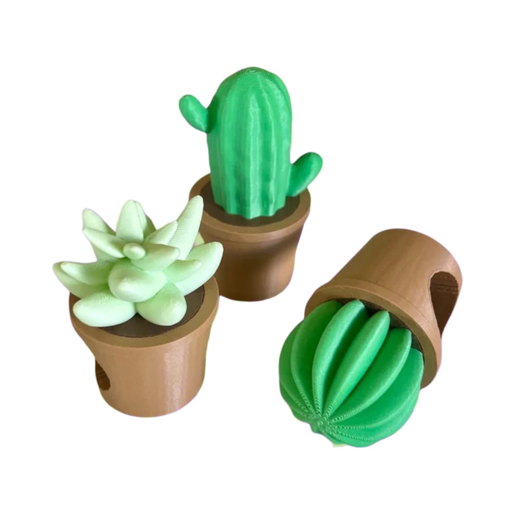 FHOS - Cactus and Succulents