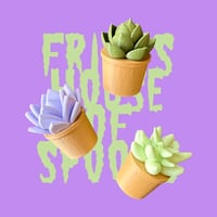 Image 3 of FHOS - Cactus and Succulents